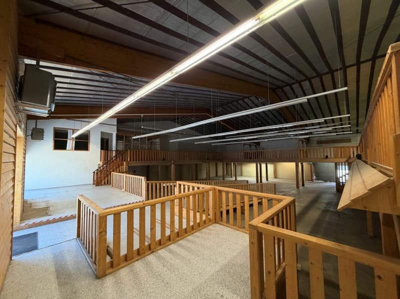 800 m2 Verkaufsfläche- oder Gewerbefläche in der Industrie Dietikon (3)