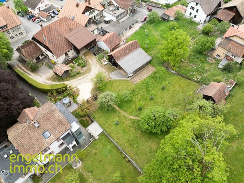 Ancienne ferme de 2 appartements avec grand terrain constructible (4)