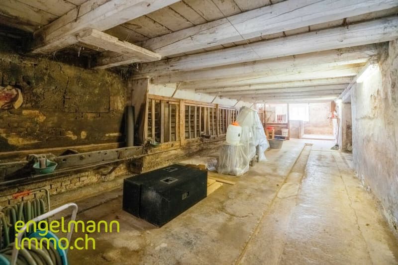 Ancienne ferme de 2 appartements avec grand terrain constructible (13)