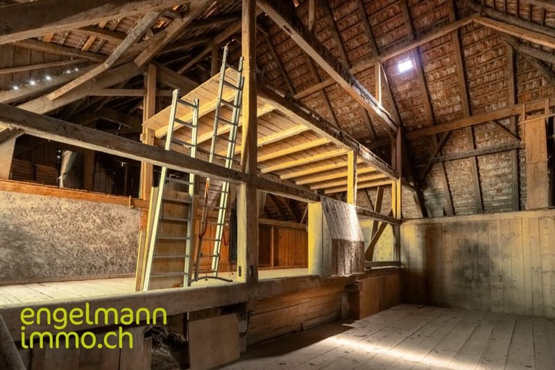 Ancienne ferme de 2 appartements avec grand terrain constructible (12)
