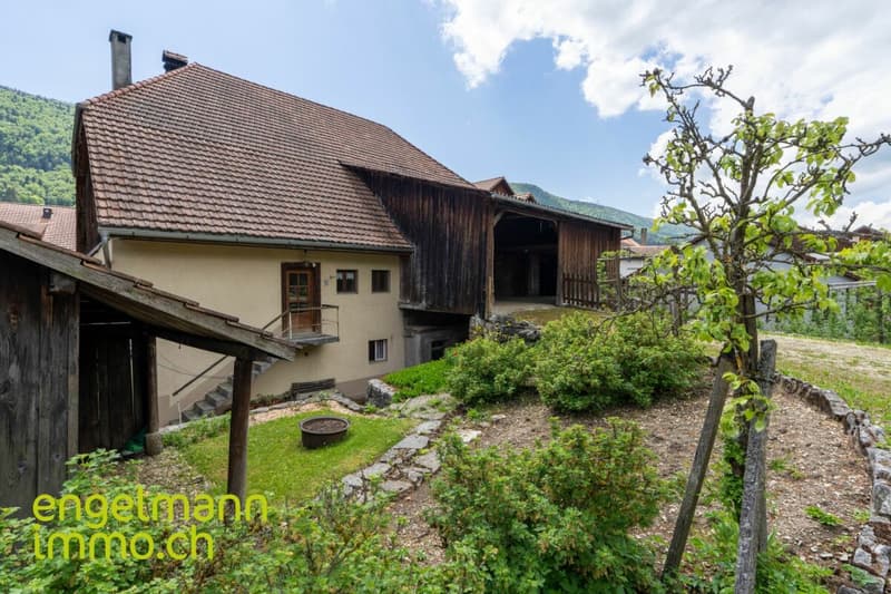 Ancienne ferme de 2 appartements avec grand terrain constructible (3)