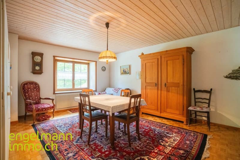 Ancienne ferme de 2 appartements avec grand terrain constructible (11)