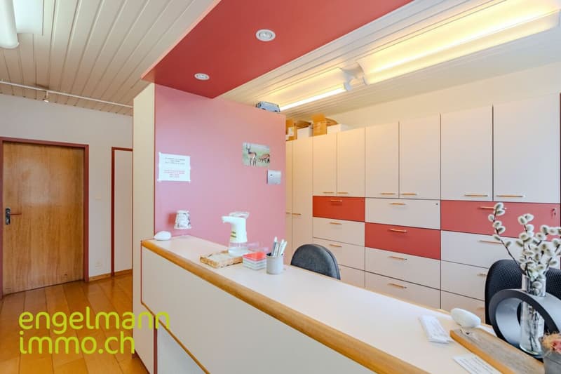 Objet de placement: locaux commerciaux, garage et atelier (6)
