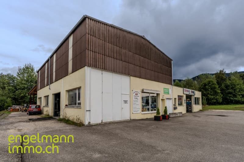 Immeuble industriel / Industrieflächen (5)