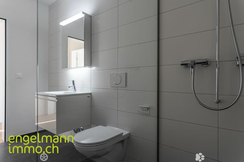 3.5 Zimmerwohnung / Appartement de 3.5 pièces (6)