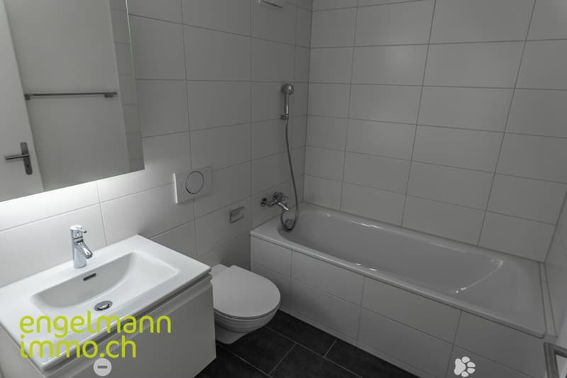 3.5 Zimmerwohnung / Appartement de 3.5 pièces (5)