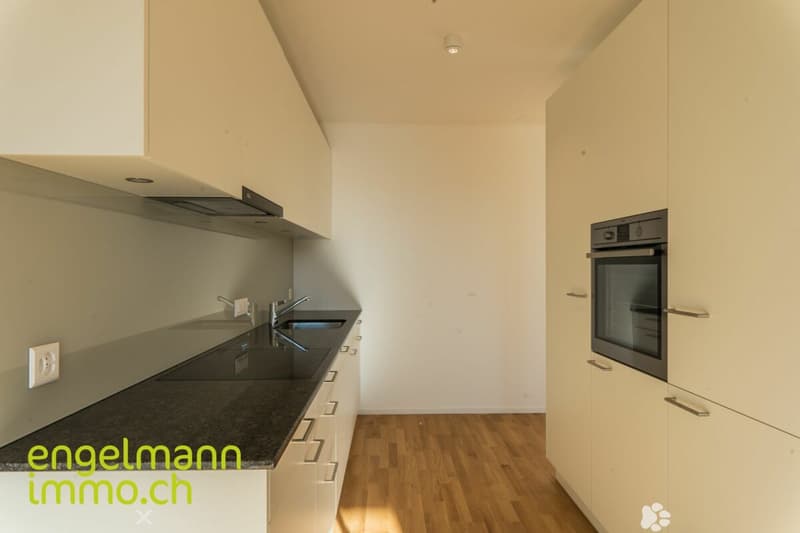 3.5 Zimmerwohnung / Appartement de 3.5 pièces (2)
