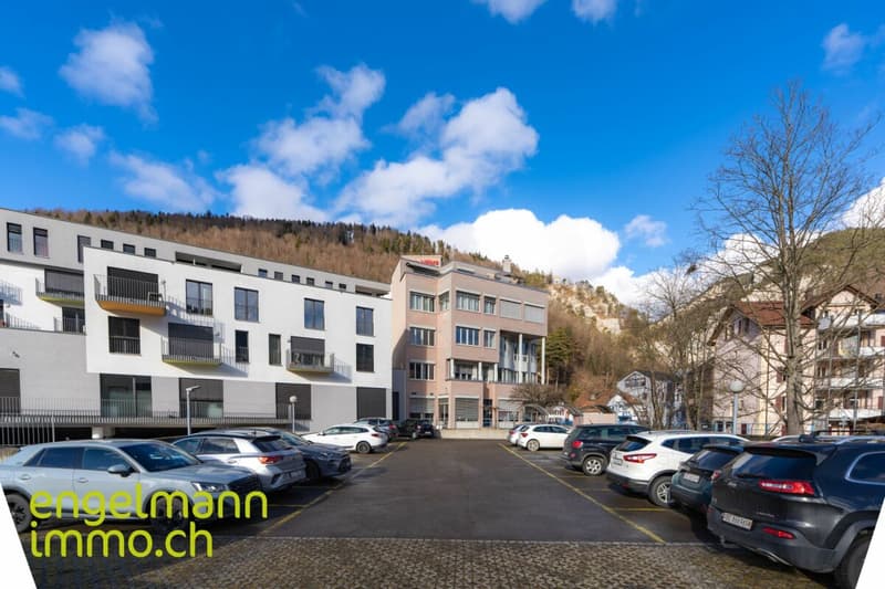 Local commercial (13)