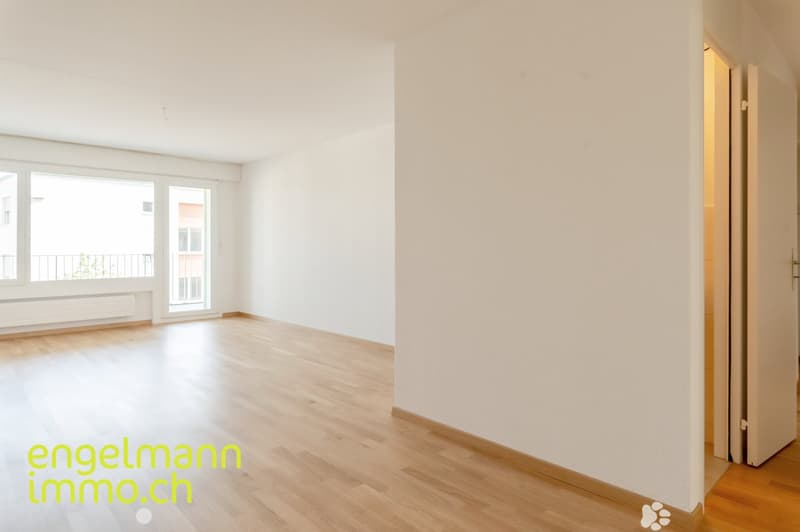 5 Zimmerwohnung / Appartements de 5 pièces (3)