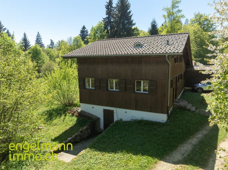 Ferienhaus (4)