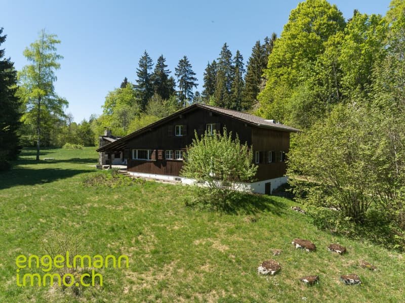 Ferienhaus (3)