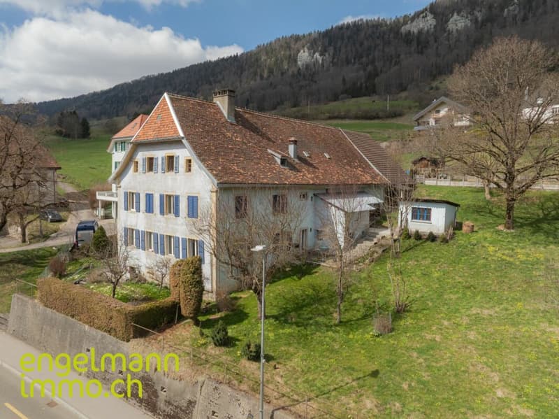 Ancienne ferme de 2 appartements et nombreux espaces annexes / Ehemaliges Bauernhaus mit 2 Wohnungen und diverse Nebenräume (1)