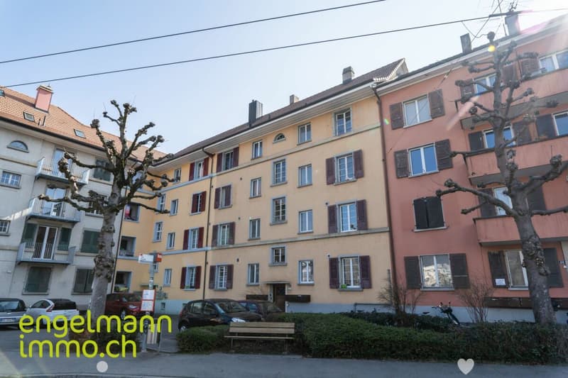 3 Zimmer-Wohnung / Appartement de 3 pièces (1)