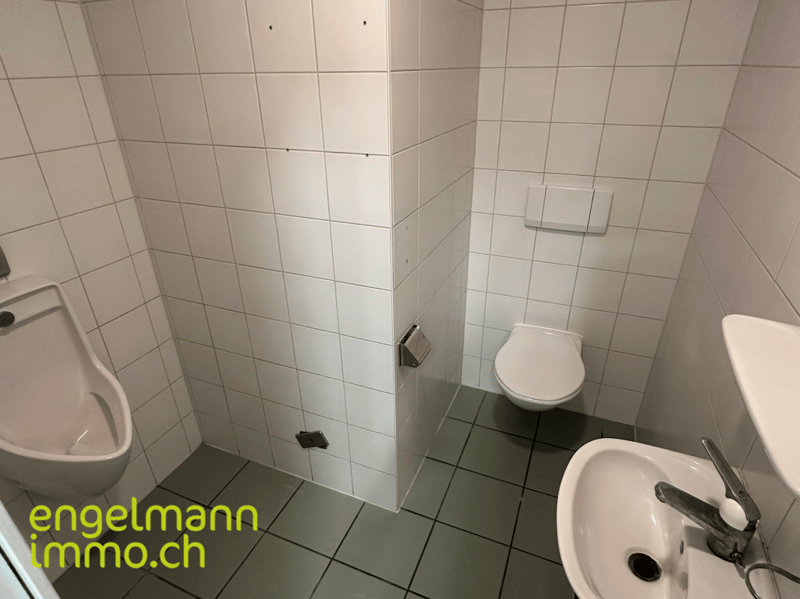 Gewerbefläche / Surface commerciale (15)