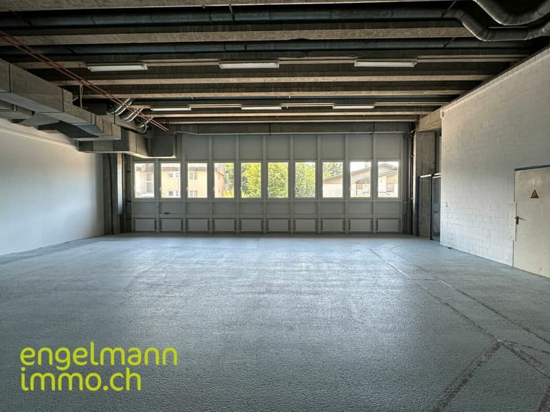 Gewerbefläche / Surface commerciale (5)