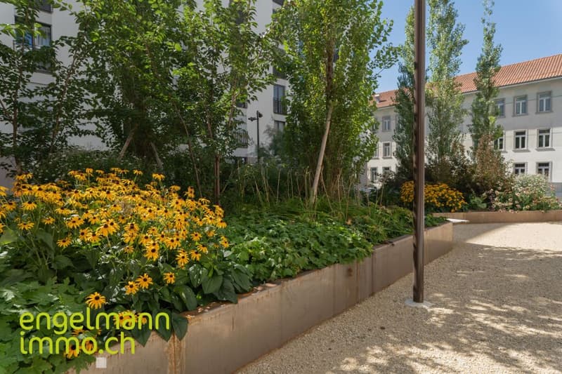 2.5 Zimmerwohnung / Appartement de 2.5 pièces (6)