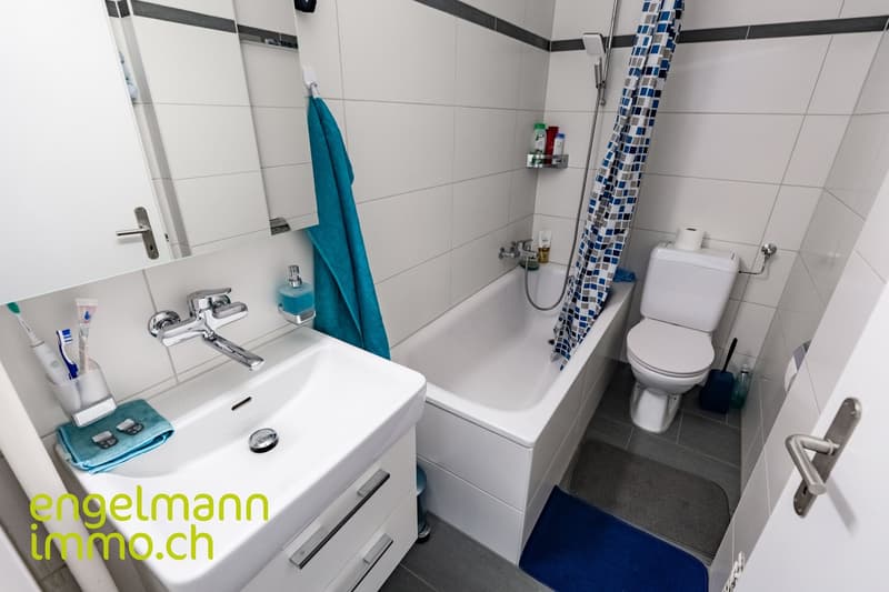 Mehrfamilienhaus | Immeuble locatif (15)