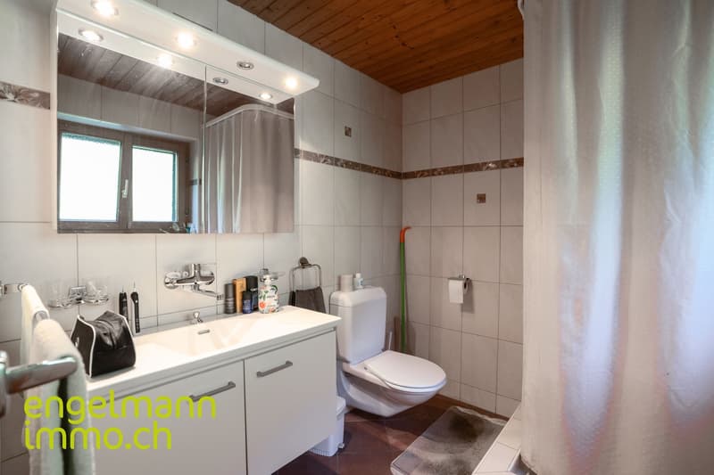 Maison familiale avec studio / Einfamilienhaus mit Studio (8)