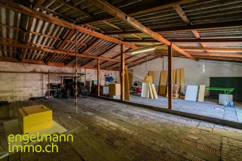 Dreifamilienhaus / Immeuble de 3 appartements (15)