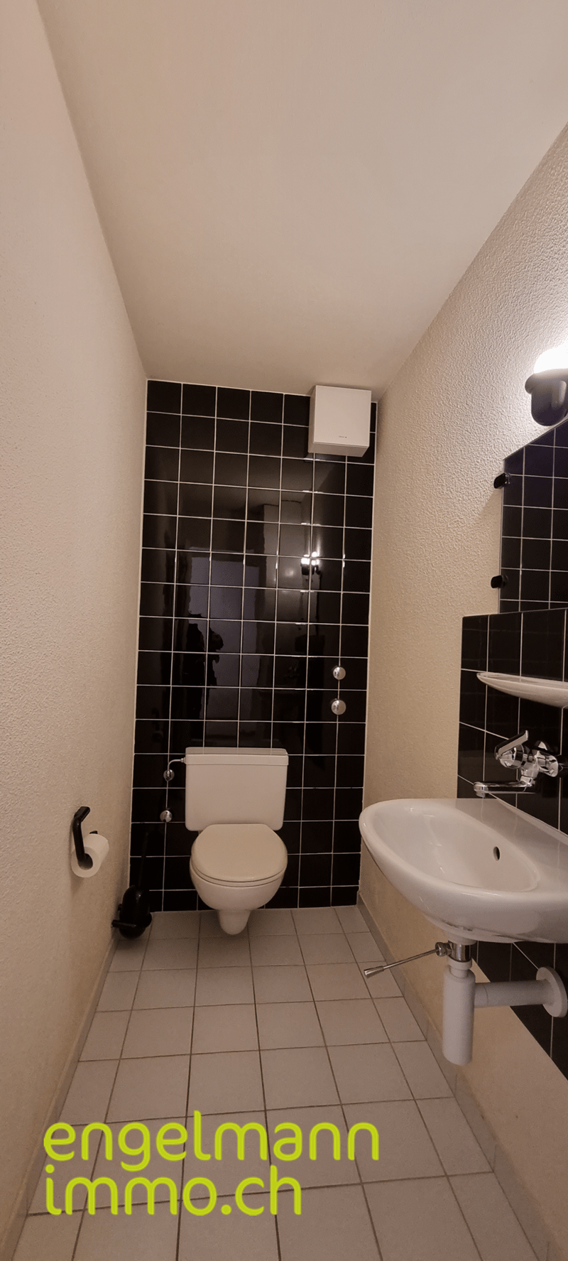 Appartement de 3.5 pièces / 3.5 Zimmerwohnung (14)