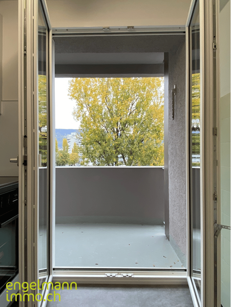 3-Zimmerwohnung / Appartement de 3 pièces (8)