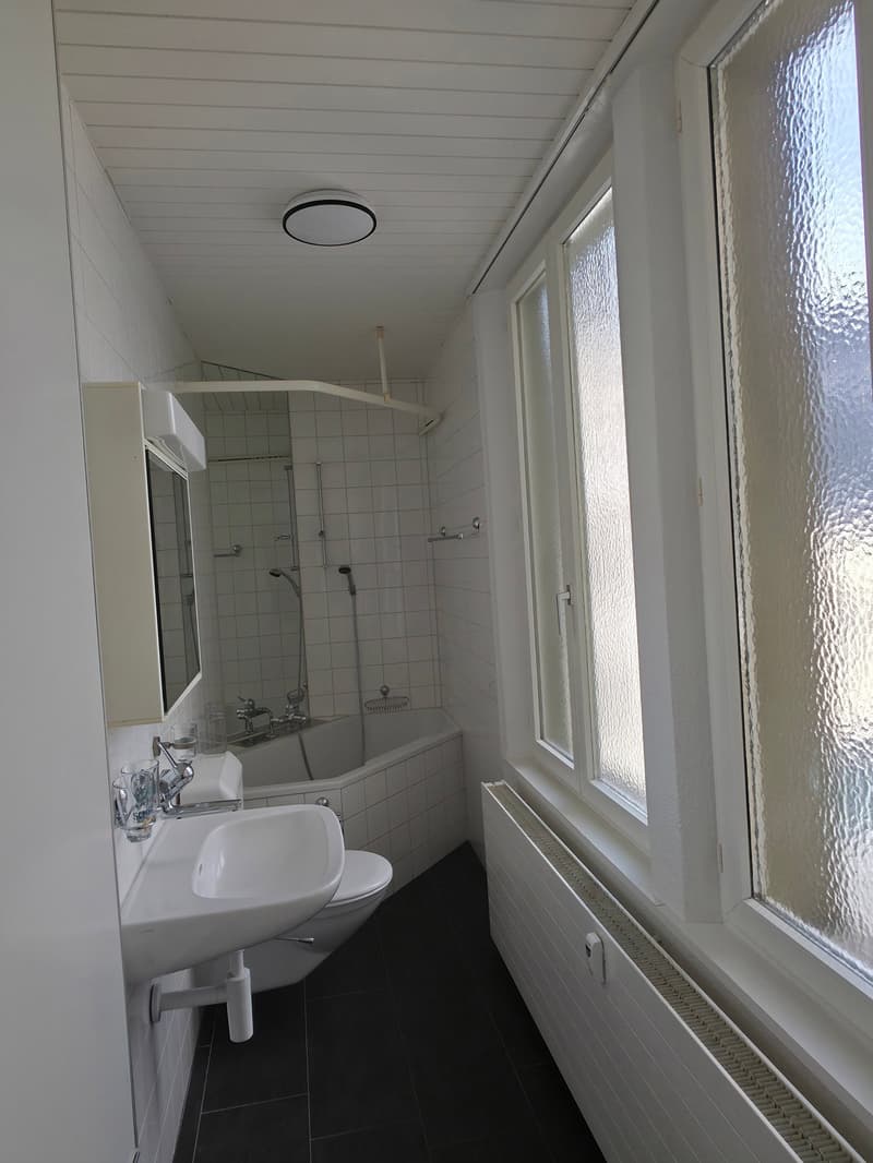 4.5-Zimmer-Wohnung / Appartement de 4.5 pièces (9)