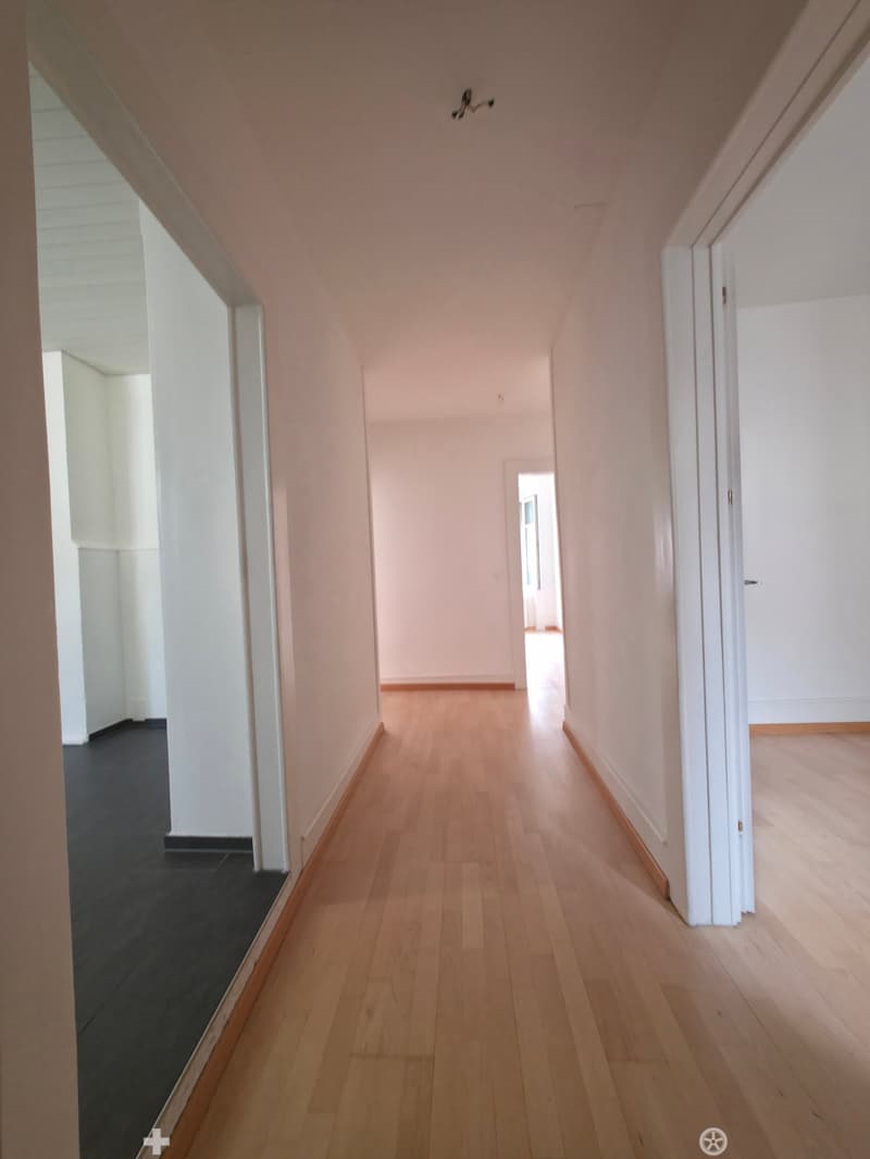 4.5-Zimmer-Wohnung / Appartement de 4.5 pièces (5)