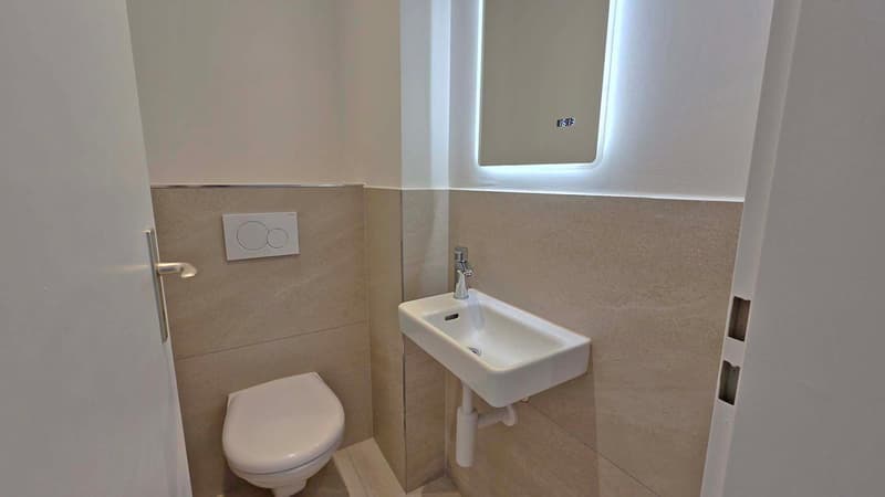 Gönnen Sie sich diese schöne, frisch sanierte Wohnung an ruhiger Lage (9)