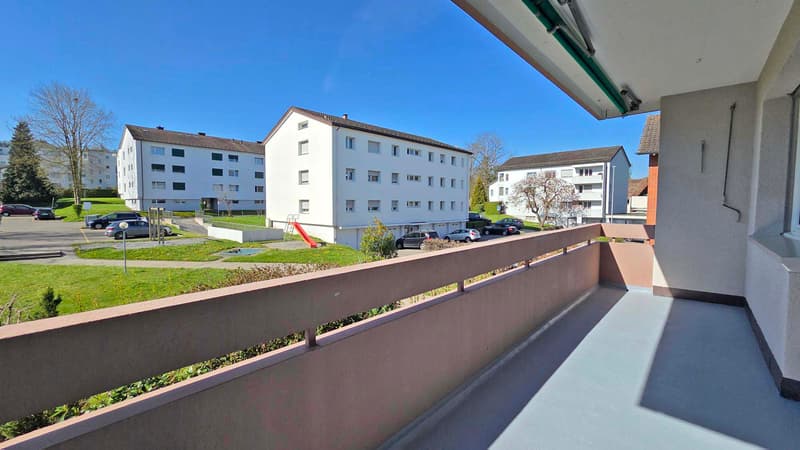 Gönnen Sie sich diese schöne, frisch sanierte Wohnung an ruhiger Lage (11)