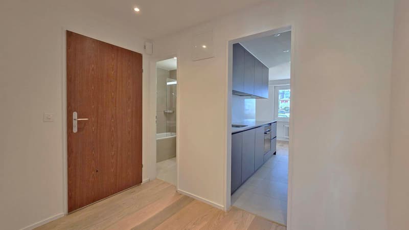Gönnen Sie sich diese schöne, frisch sanierte Wohnung an ruhiger Lage (10)