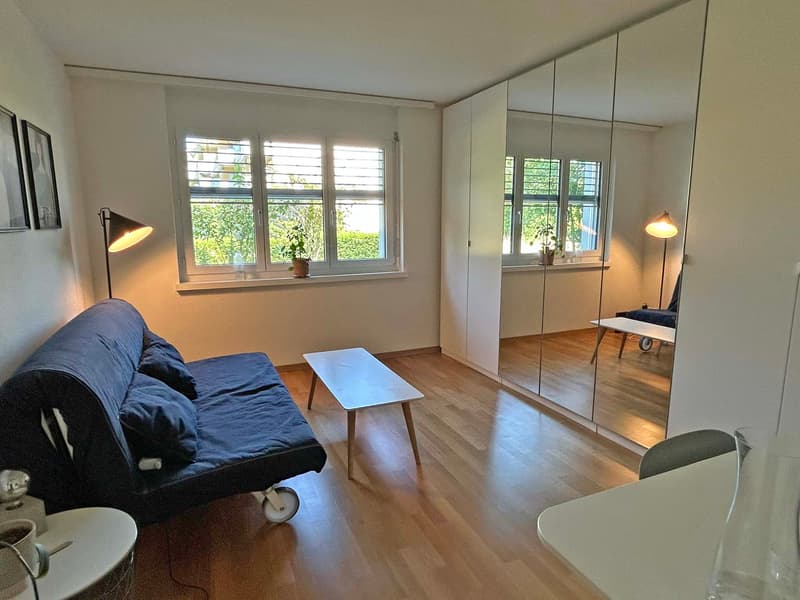 Wohnen ohne Kompromisse mit hoher Privatsphäre und sonnigem Sitzplatz (5)