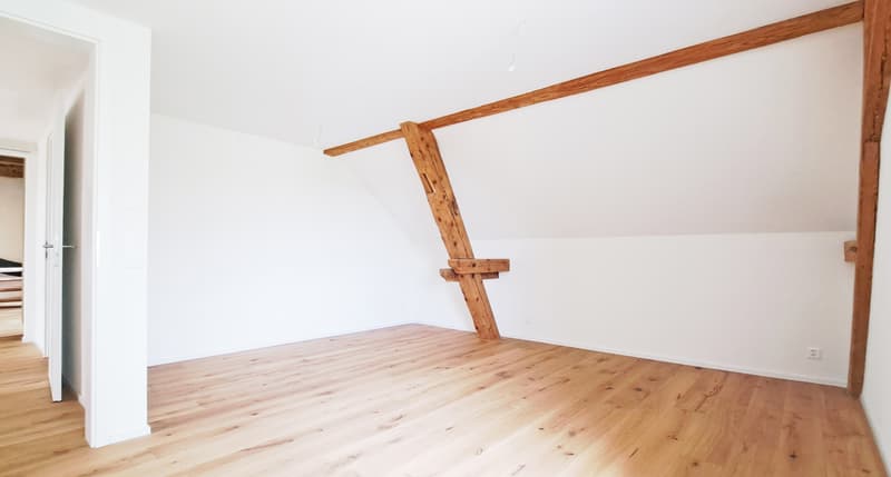 ERSTVERMIETUNG in Katzenrüti (5)