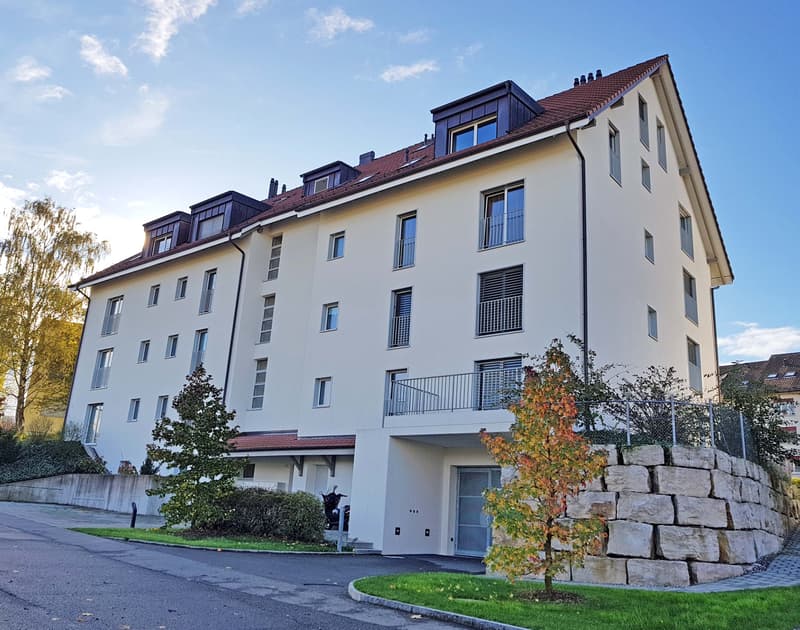 Schöne Wohnung mit grosszügigem Grundriss und modernem Ausbau (1)