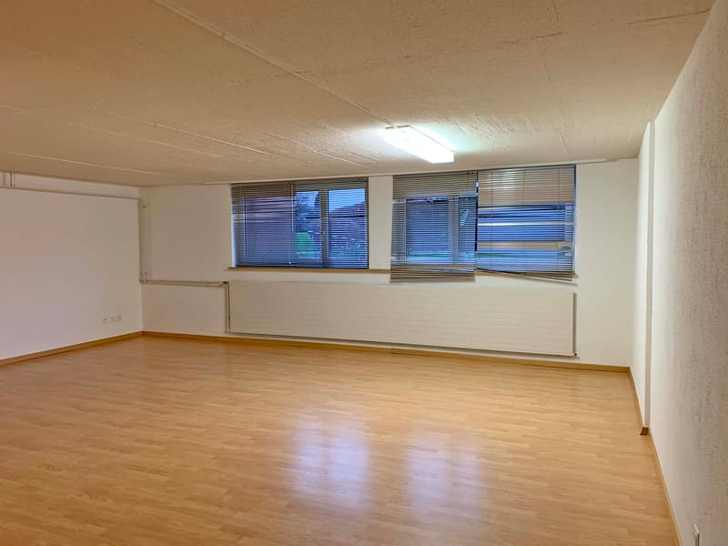 Geräumiges Atelier/Büro in Dietikon (2)
