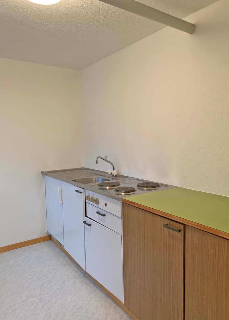 Geräumiges Atelier/Büro in Dietikon (5)