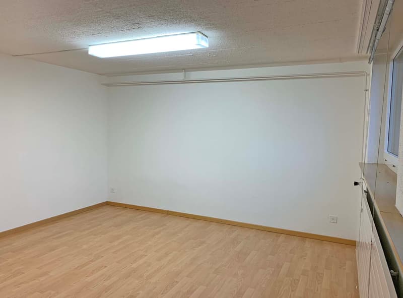 Geräumiges Atelier/Büro in Dietikon (4)