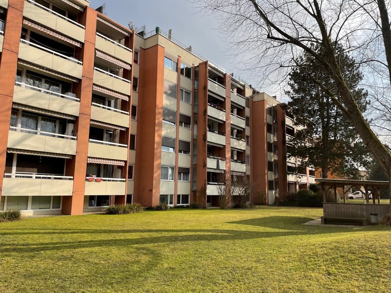 Geräumiges Atelier/Büro in Dietikon (1)