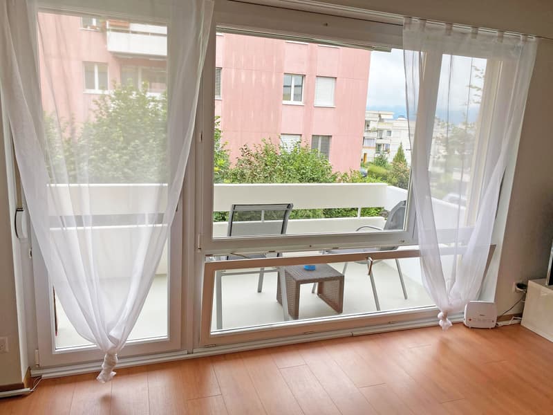 Moderne Singlewohnung am Fusse des Weiningerbergs (7)