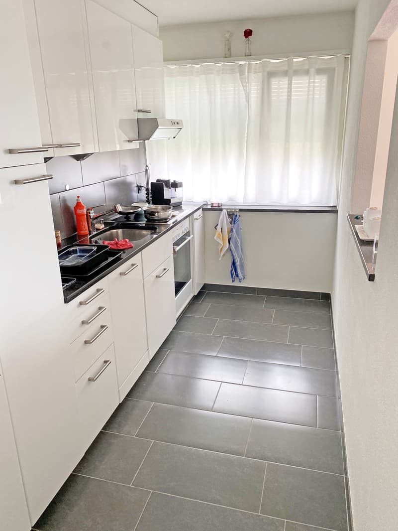 Moderne Singlewohnung am Fusse des Weiningerbergs (3)