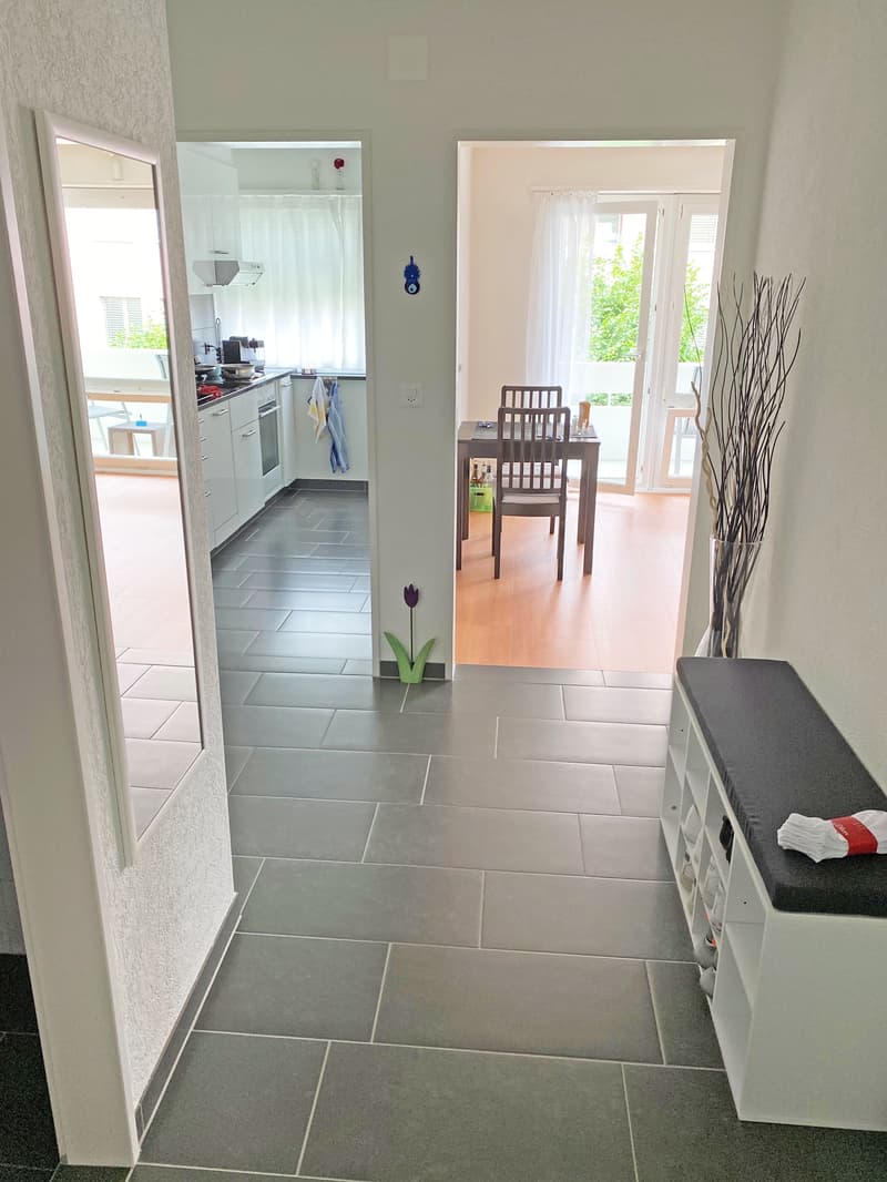 Moderne Singlewohnung am Fusse des Weiningerbergs (2)