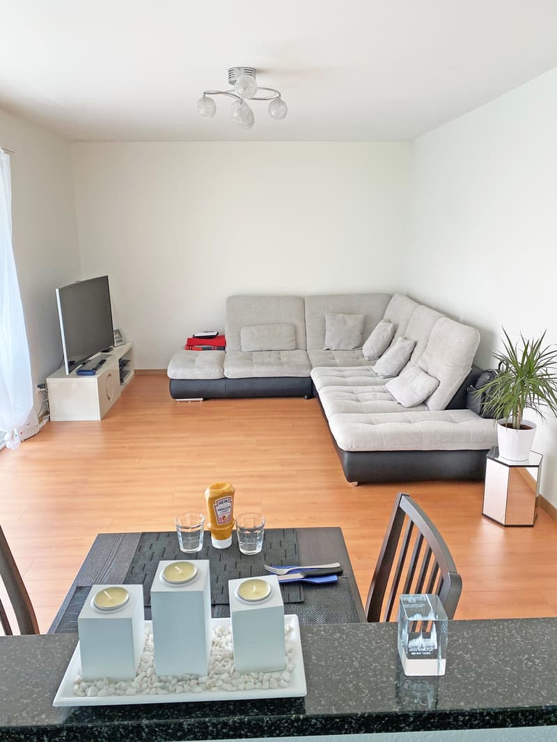 Moderne Singlewohnung am Fusse des Weiningerbergs (4)