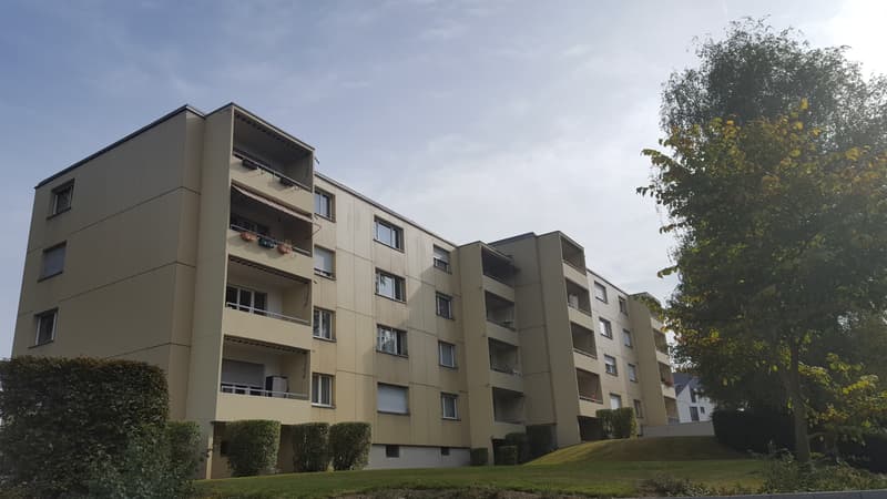 Geräumige 3-Zimmerwohnung mit Balkon (5)