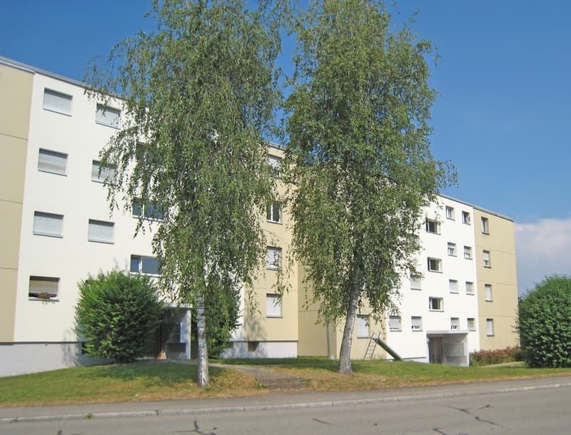 Geräumige 3-Zimmerwohnung mit Balkon (1)