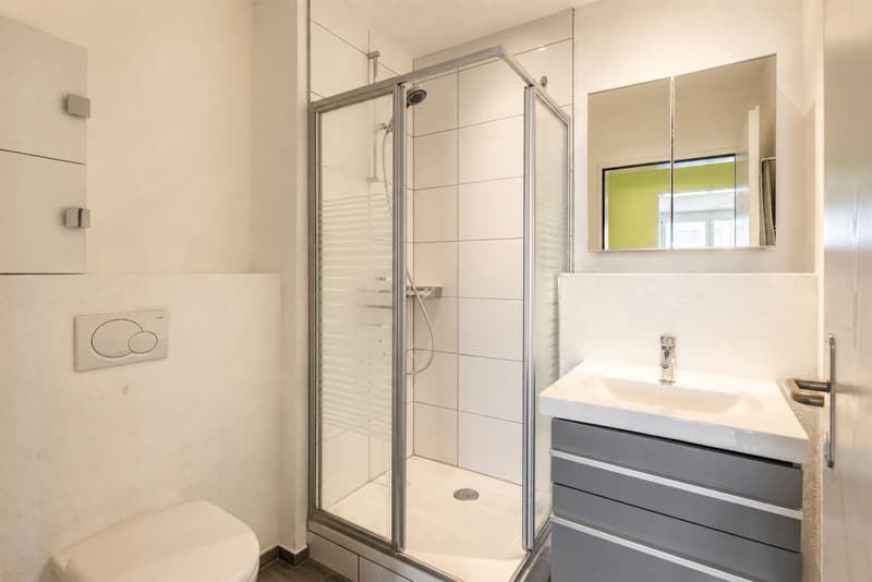 Top moderne 4 ½ Wohnung in Zürich-Seebach (Kreis 11) (10)
