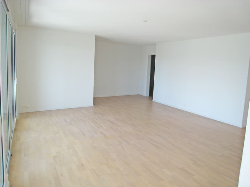 Wunderschöne Wohnung mit sensationellem Ausblick (2)
