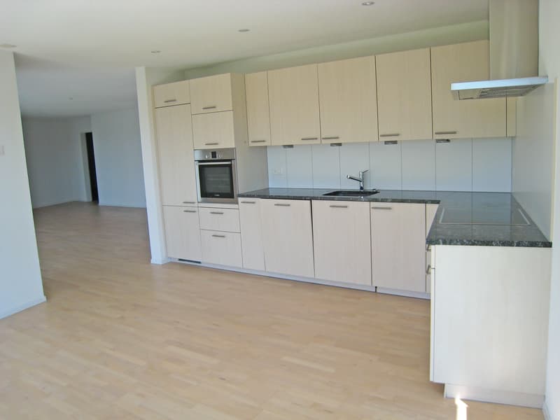 Wunderschöne Wohnung mit sensationellem Ausblick (3)