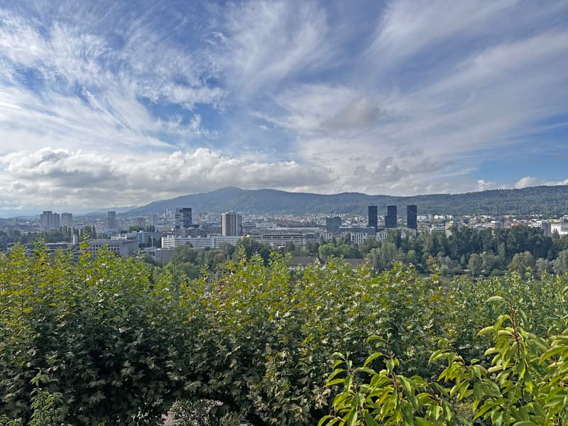 Exklusive Wohnung auf zwei Etagen mit Weitblick über Zürich (13)