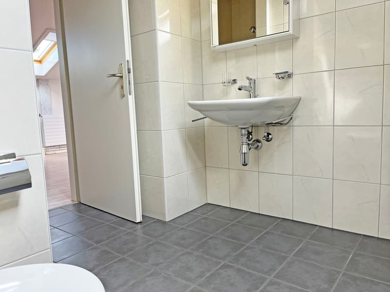 Ausgebaute Dachwohnung / Studio zu vermieten (7)