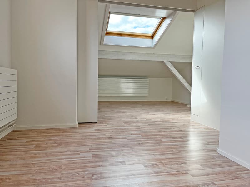 Ausgebaute Dachwohnung / Studio zu vermieten (5)
