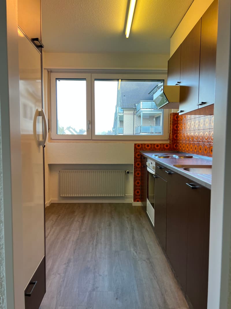 Gemütliche 2.5-Zimmerwohnung an ruhiger Lage sucht neuen Mieter! (3)